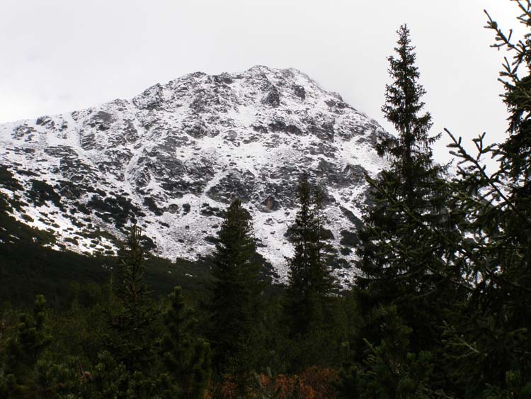 PA210021