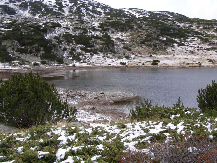 PA210026