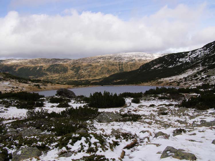 PA210028