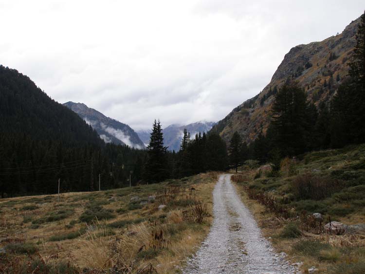 PA210035