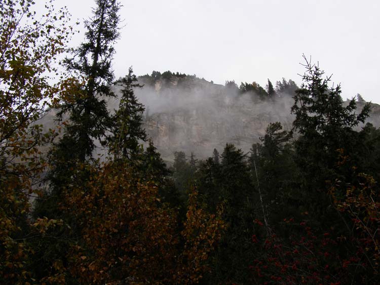 PA210037