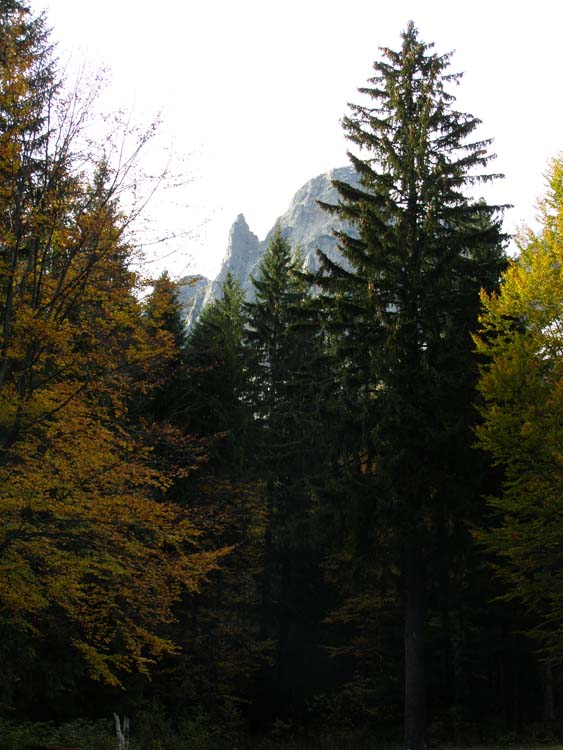 PA210051