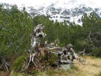 PA210034