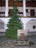 PA210059