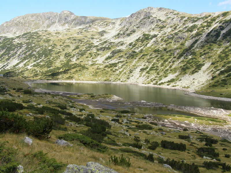 P9060638