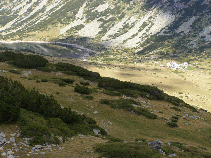 P9060647