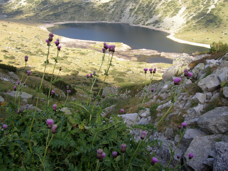 P9060668