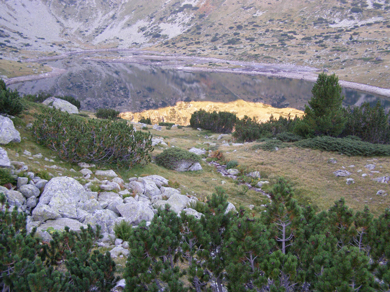 P9070676