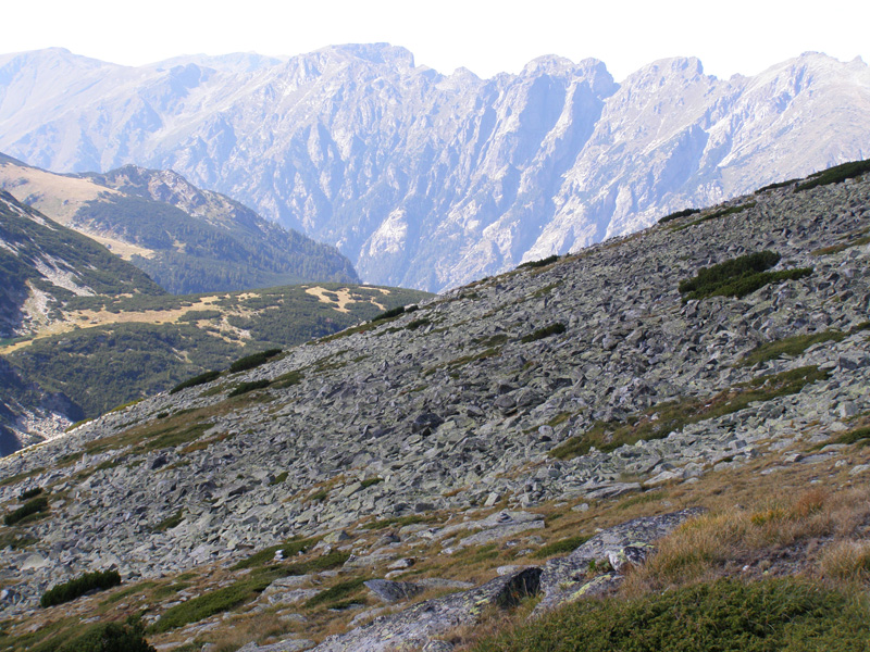 P9070691
