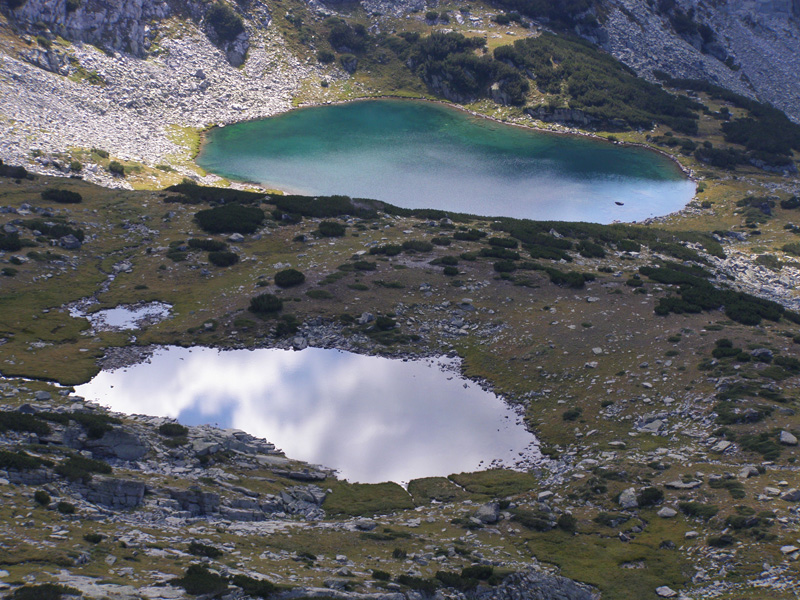 P9070694