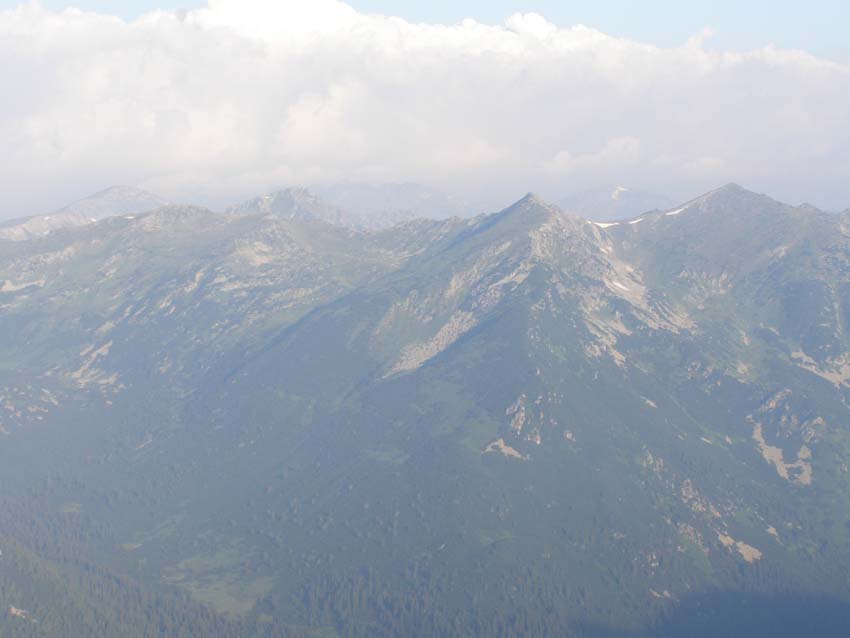 P7190984