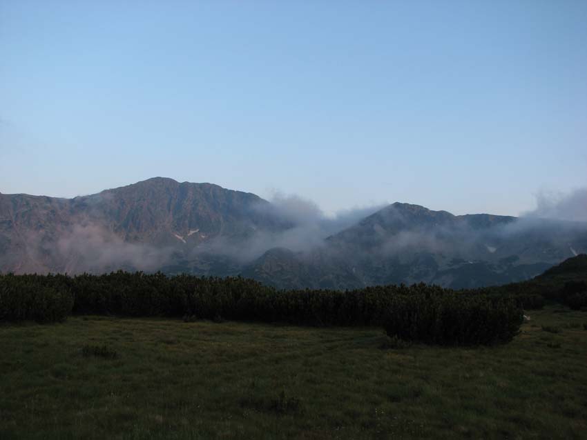 P7190987