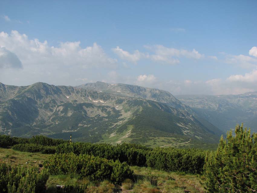 P7190990