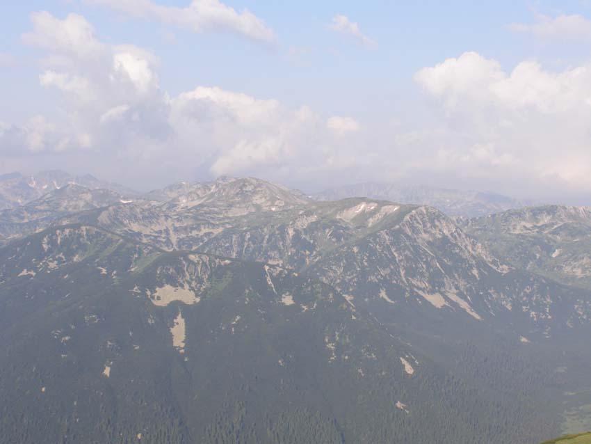P7190993