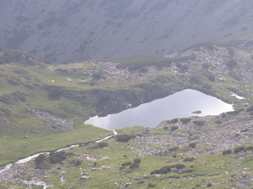 P7190996