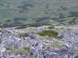 P7190989