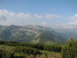 P7190990