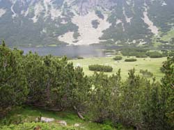 P7191009