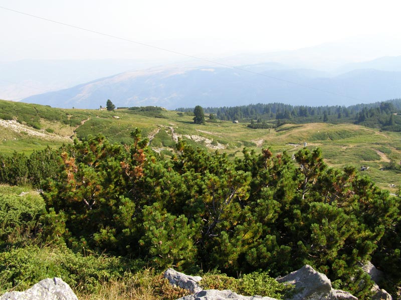 P7290314