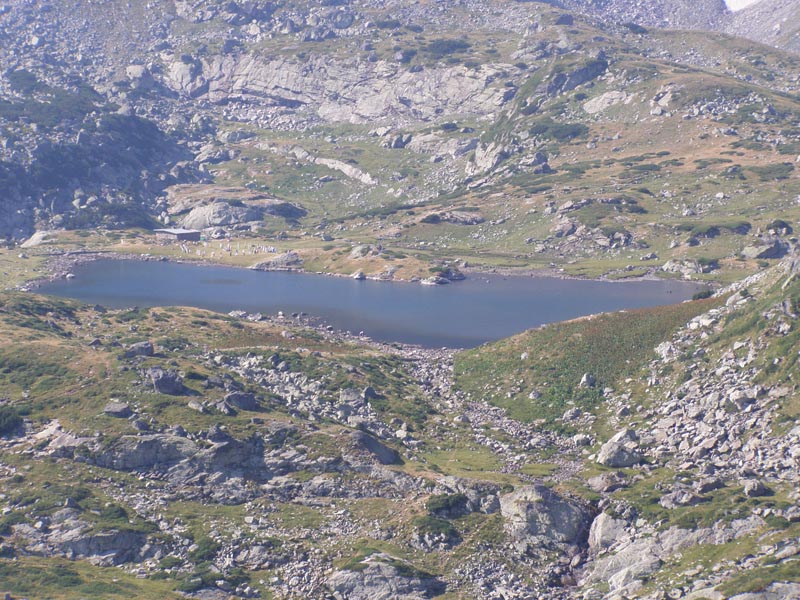 P7290329