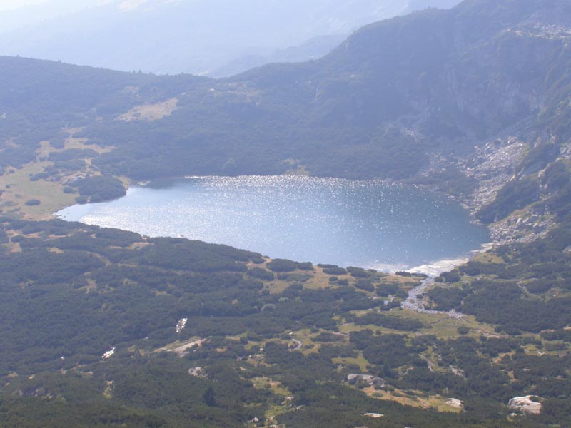 P7290331
