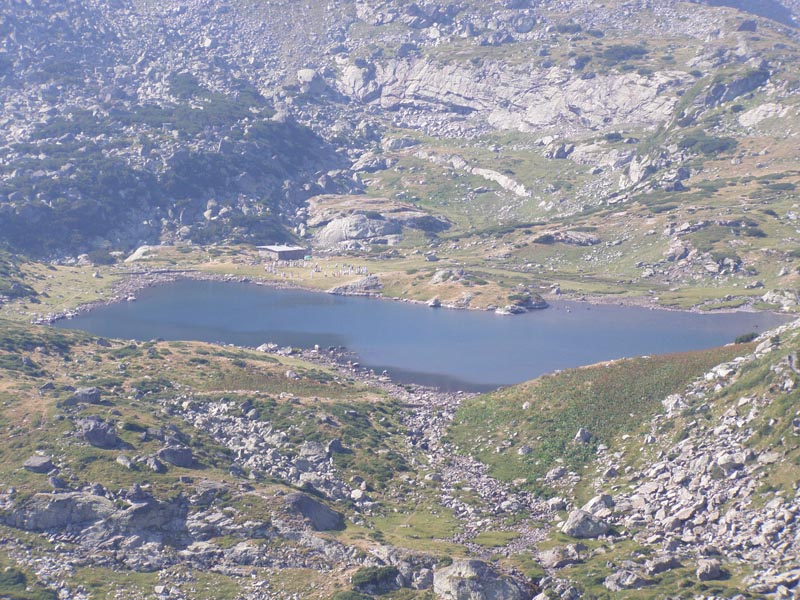 P7290334