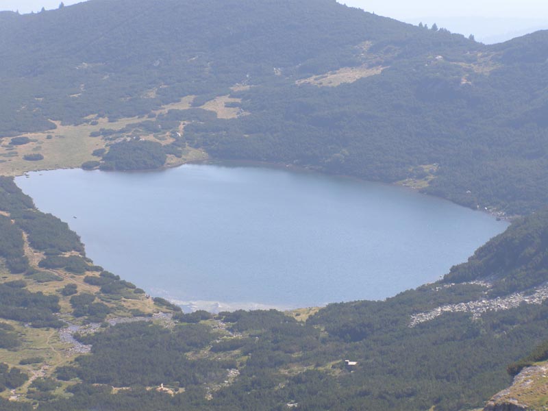 P7290344