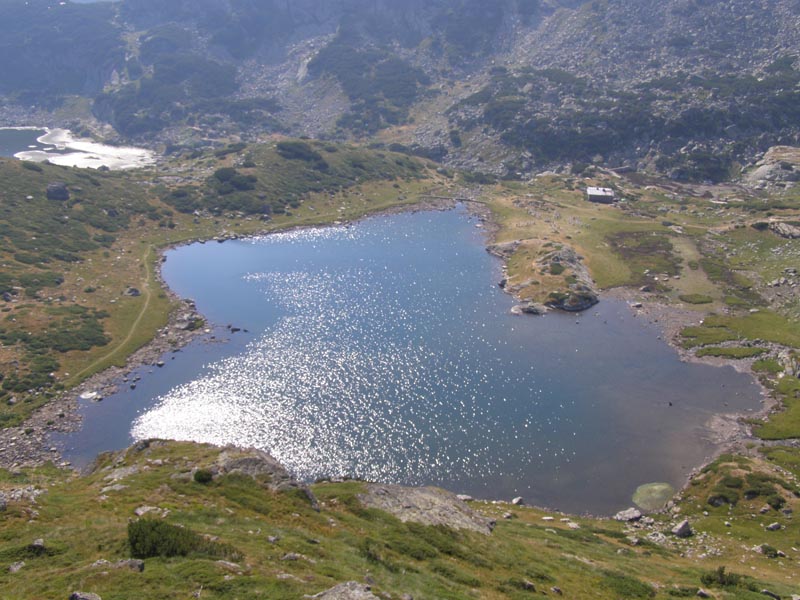 P7290346