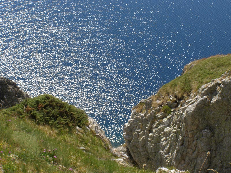 P7290374