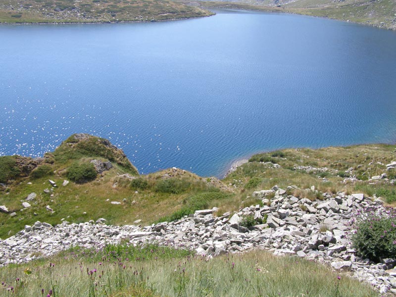 P7290376