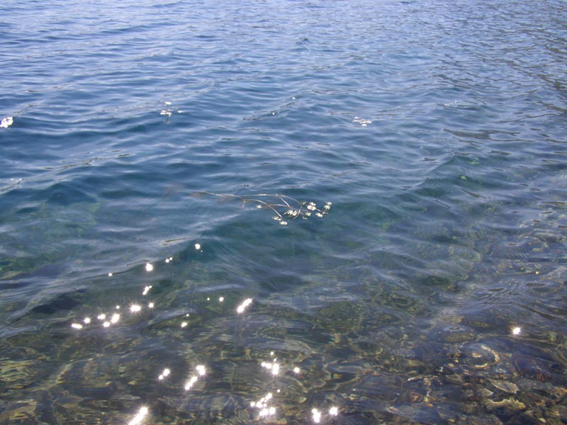 P7290377