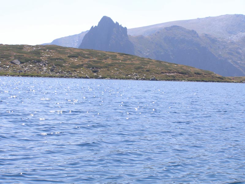 P7290381