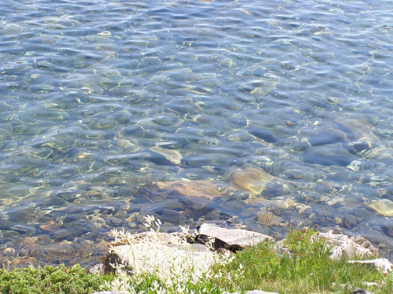 P7290383