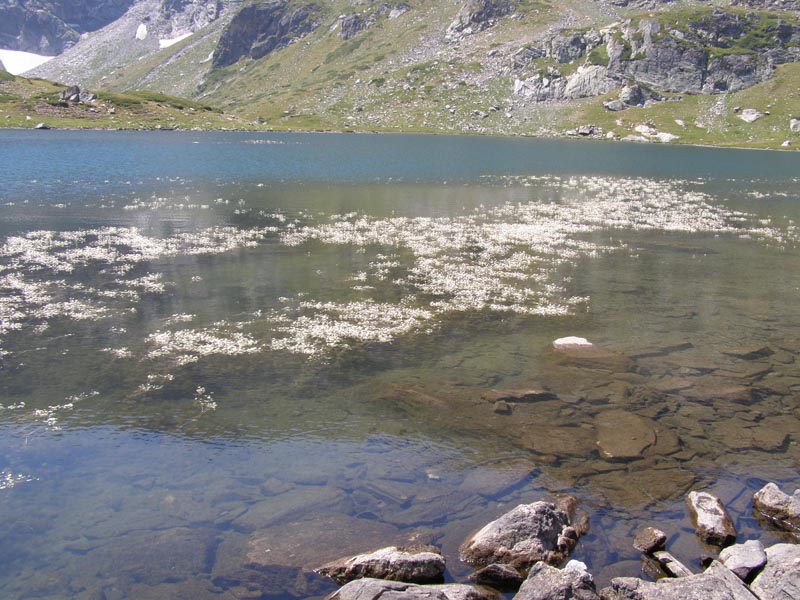 P7290396