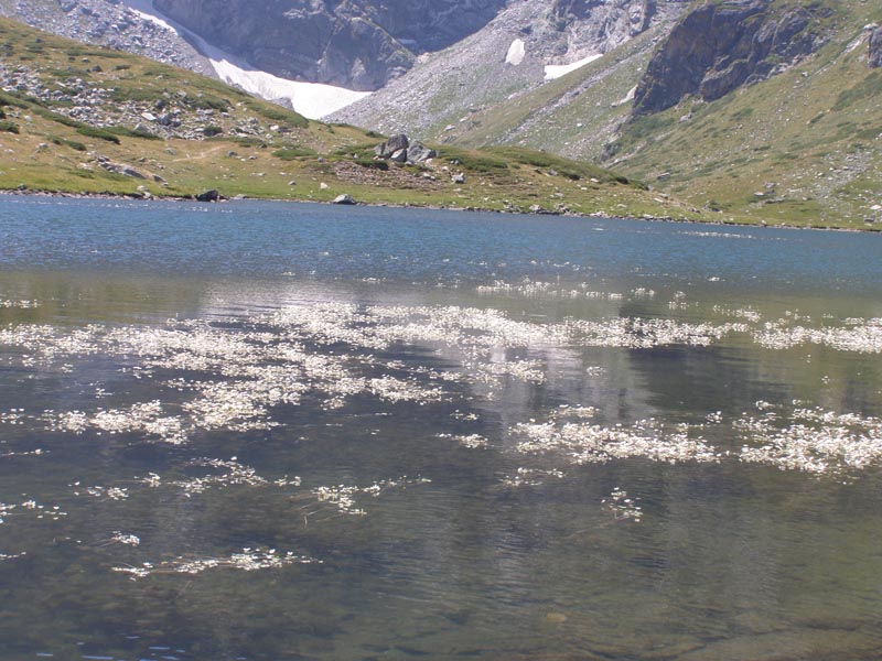 P7290398