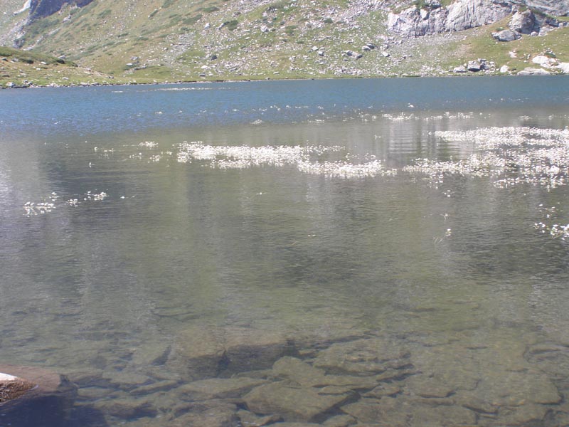 P7290400