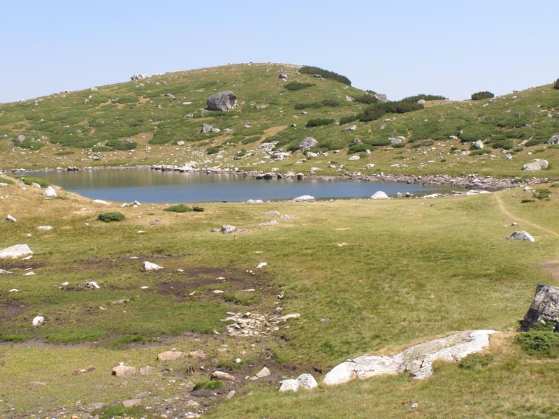 P7290404