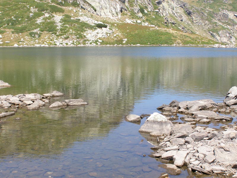 P7290405