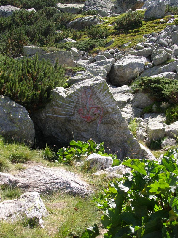 P7290422
