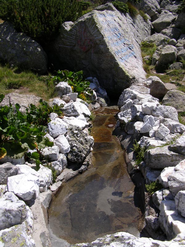 P7290423