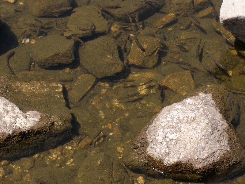 P7290428