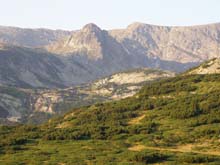 P7290311