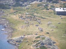 P7290349