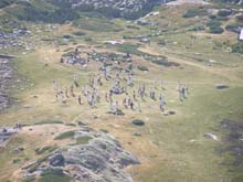 P7290356