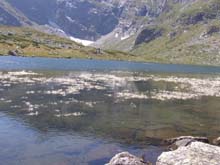 P7290397