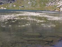 P7290399