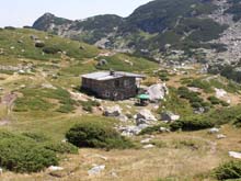 P7290403