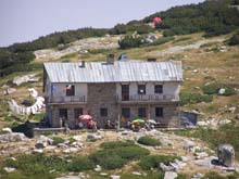 P7290415