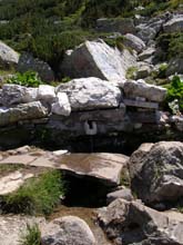 P7290419