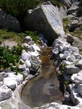 P7290423